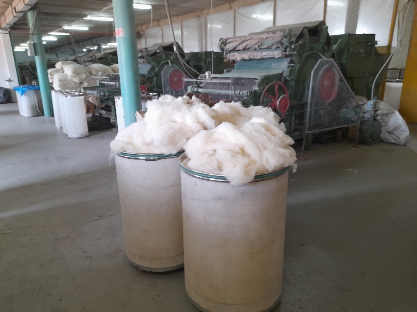 ​Производителям шерсти в Забайкалье направили на поддержку производства 16 миллионов рублей